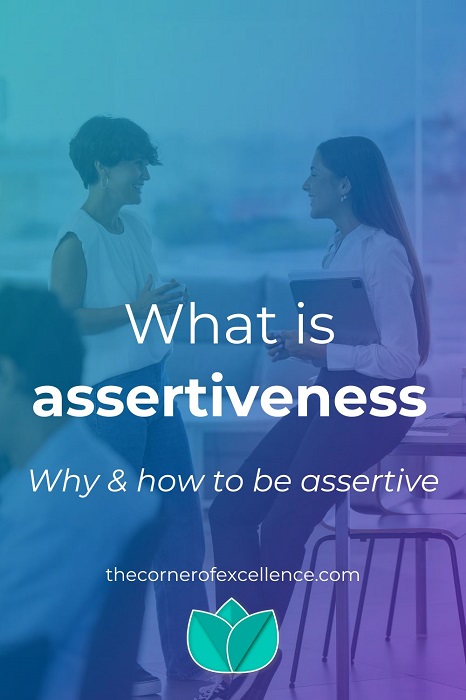 what is assertiveness how to be assertive business people discussing