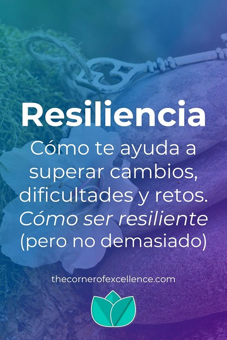 que significa resiliencia significado entrenar resiliencia ser resiliente piedras llaves flor