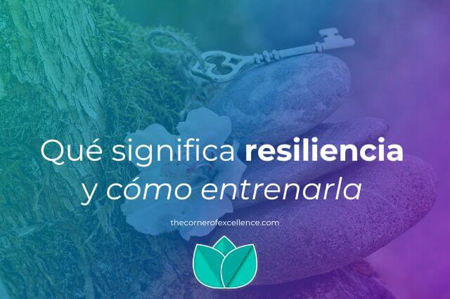 que significa resiliencia significado entrenar resiliencia ser resiliente piedras llaves flor