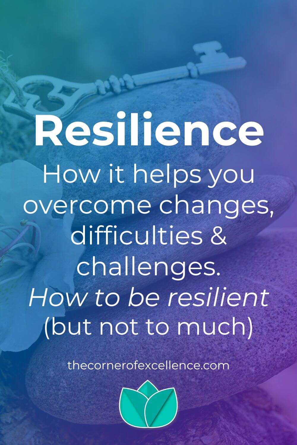 what does resilience mean resilience meaning train resilience be resilient stones key flower