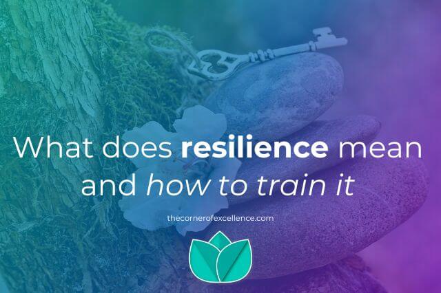 what does resilience mean resilience meaning train resilience be resilient stones key flower